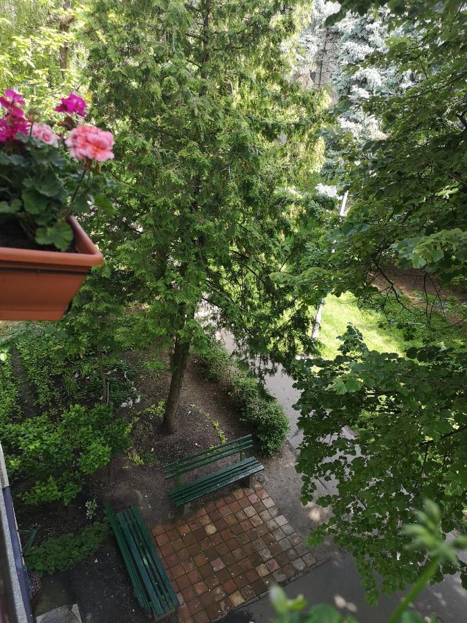 Natasa Apartman Орошхаза Экстерьер фото