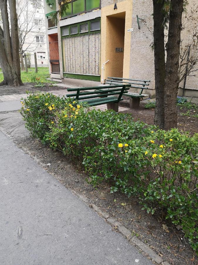 Natasa Apartman Орошхаза Экстерьер фото
