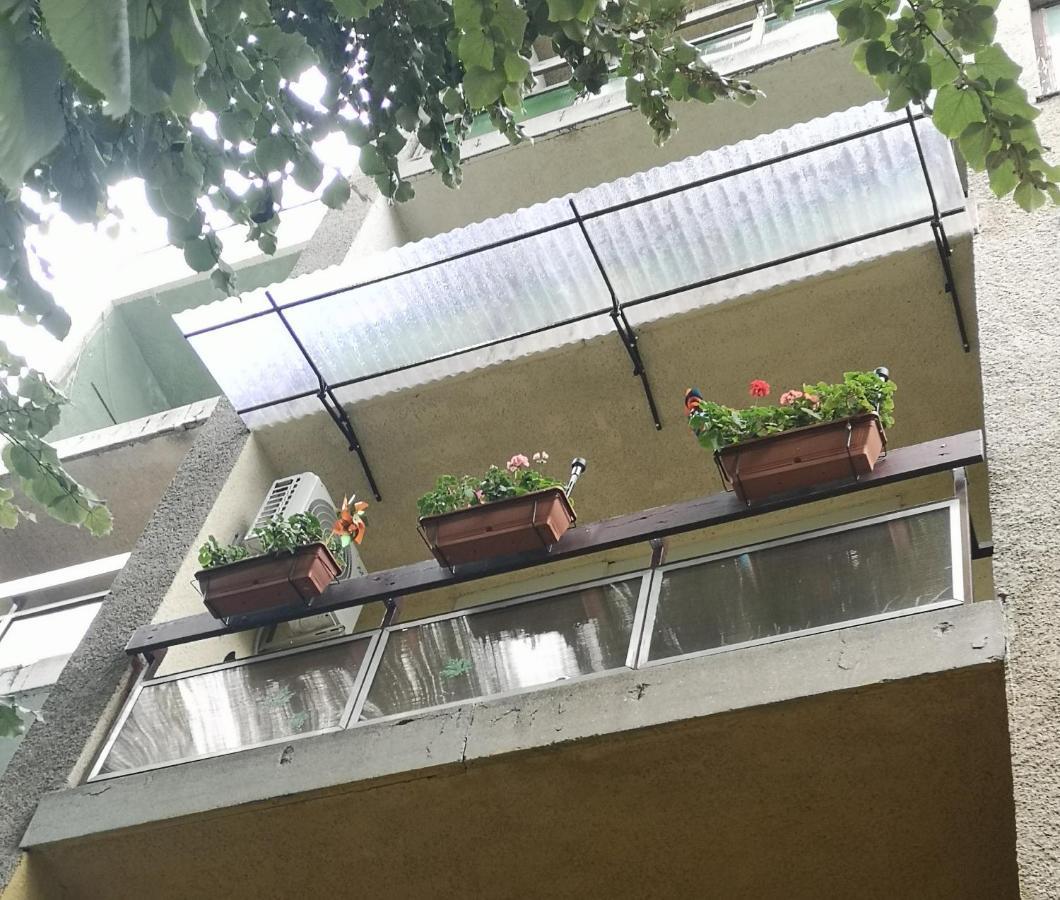 Natasa Apartman Орошхаза Экстерьер фото